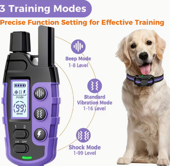 Smart Pet Gadgets